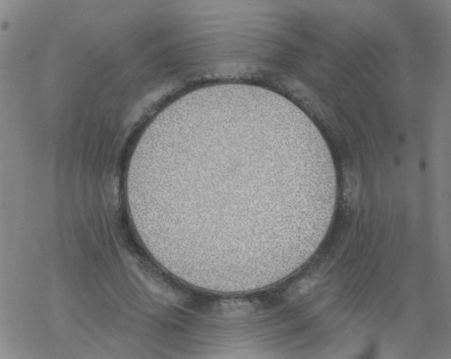 X0000077400636200611101821