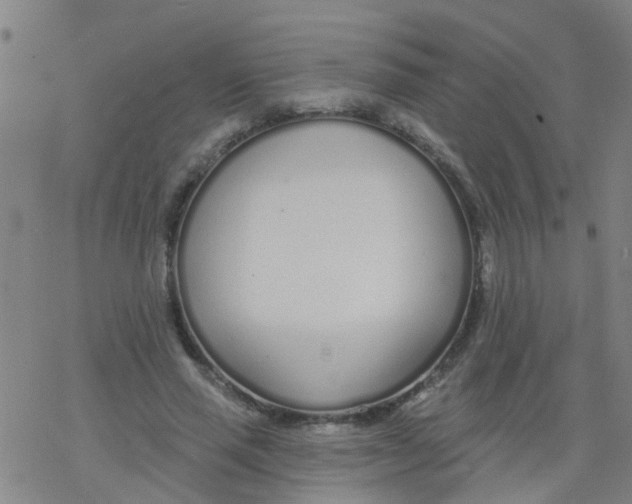 X0000077400637200611101821