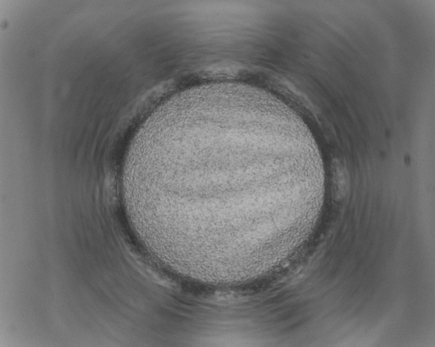 X0000077400641200611101821