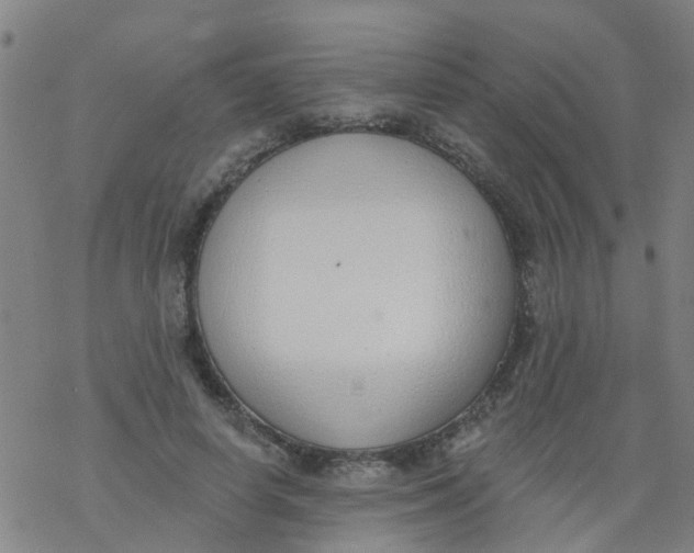 X0000077400642200611101821