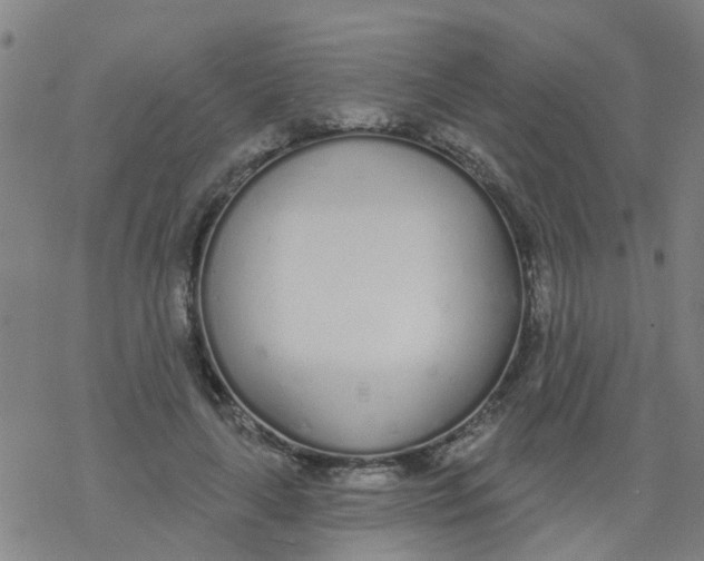 X0000077400643200611101821