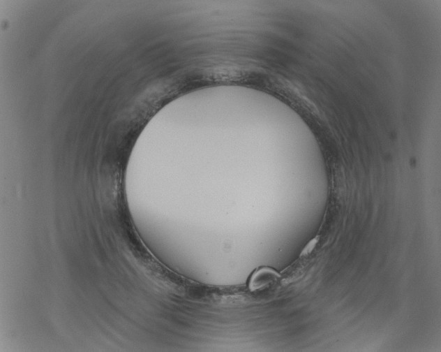 X0000077400645200611101821