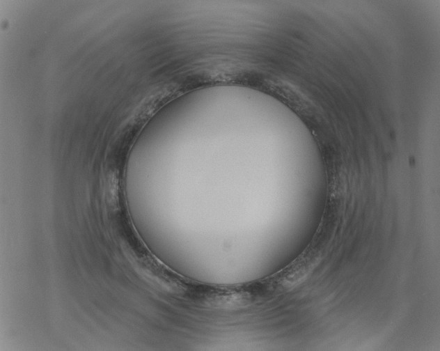 X0000077400646200611101821