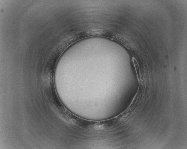 X0000077400647200611101821