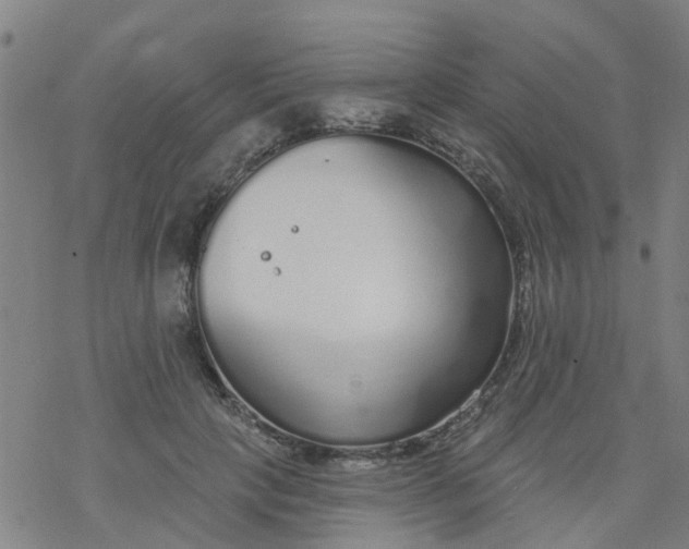 X0000077400649200611101821