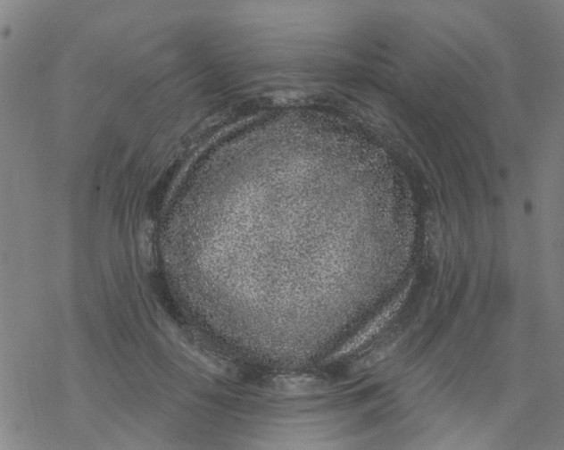 X0000077400650200611101821