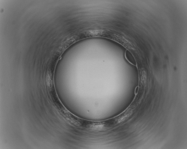 X0000077400651200611101821