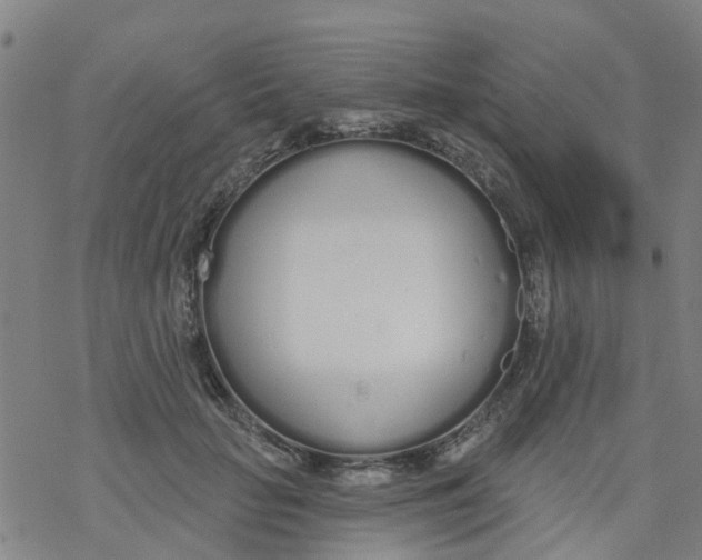 X0000077400653200611101821