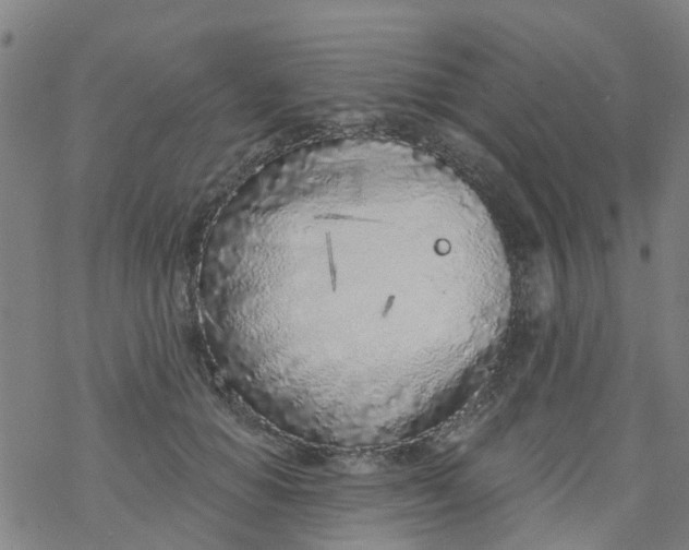 X0000077400654200611101821