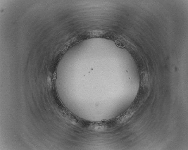 X0000077400655200611101821