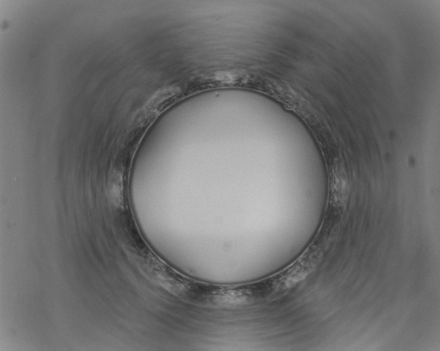 X0000077400656200611101821