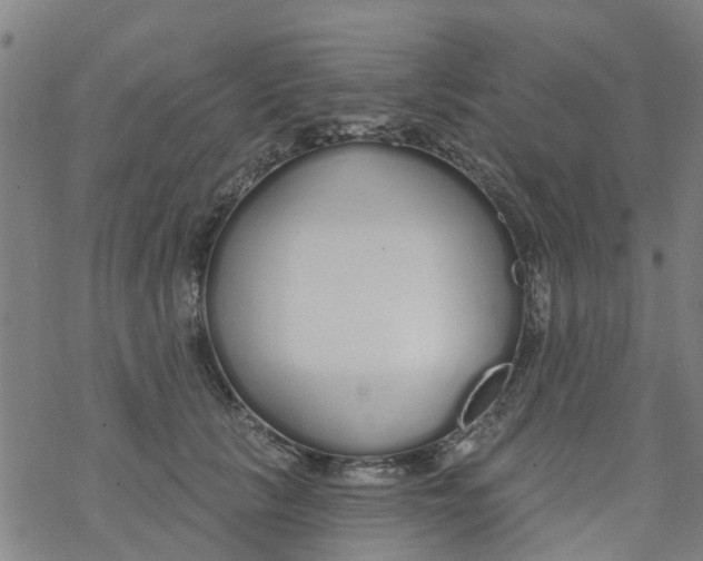 X0000077400657200611101821