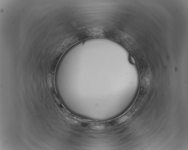 X0000077400658200611101821