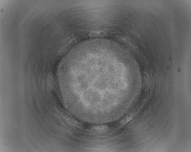 X0000077400659200611101821