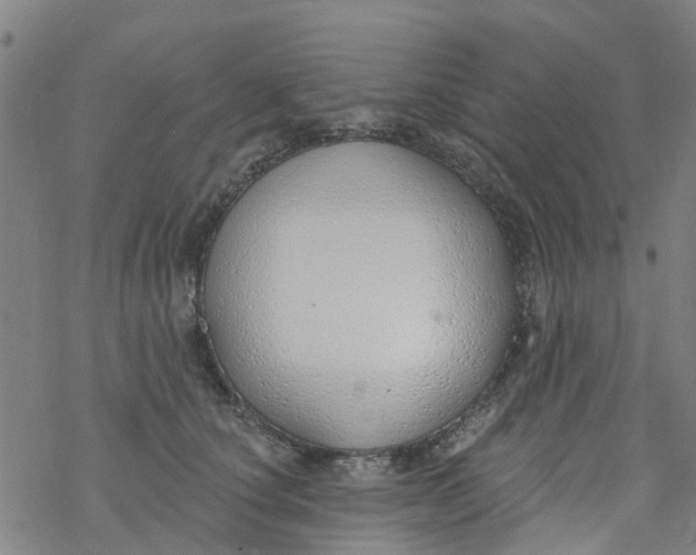 X0000077400660200611101821