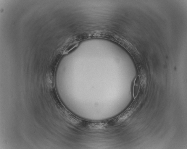 X0000077400661200611101821