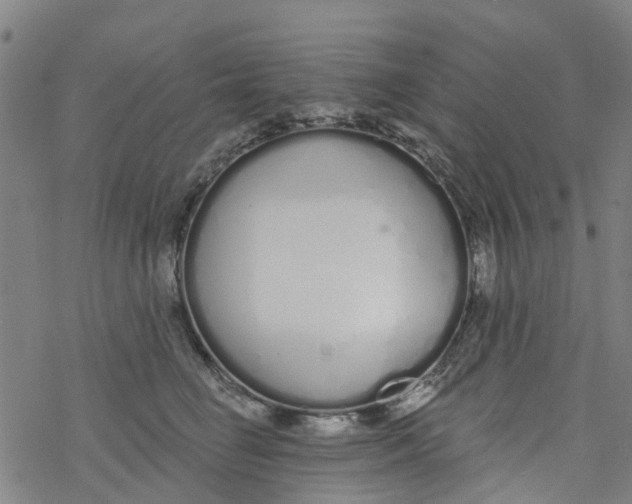 X0000077400662200611101821