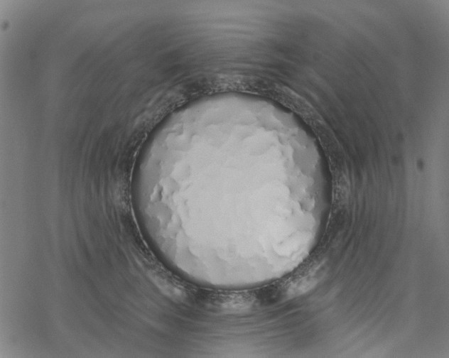 X0000077400663200611101821