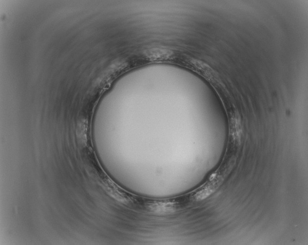 X0000077400664200611101821