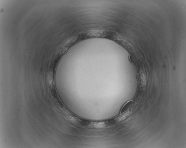 X0000077400665200611101821