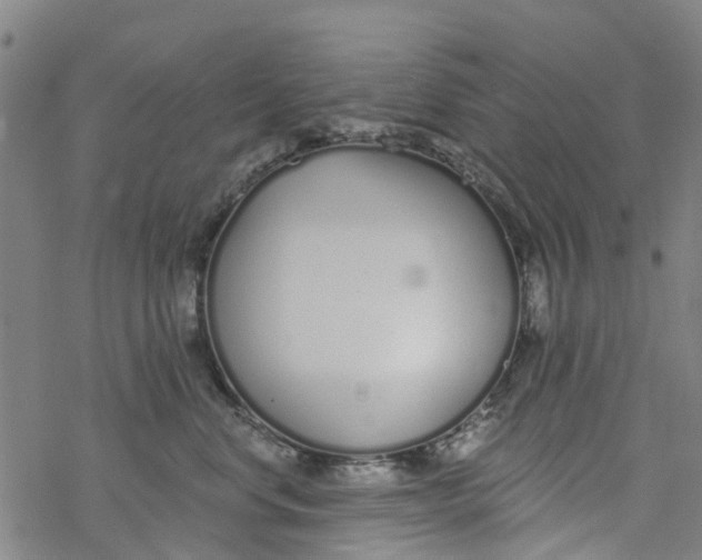 X0000077400668200611101821