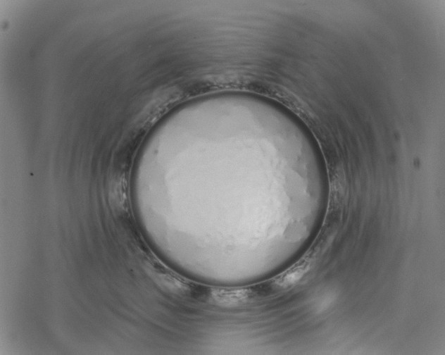 X0000077400671200611101821