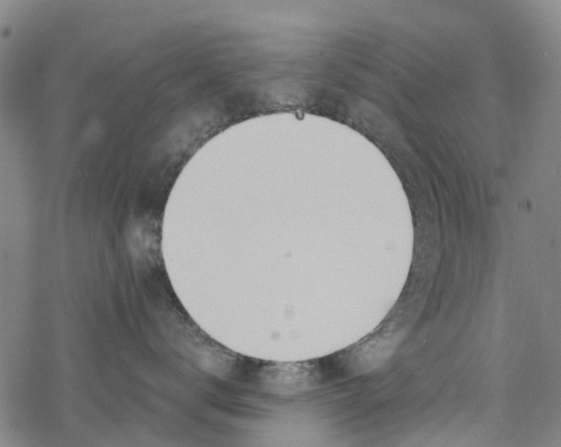 X0000077400672200611101821