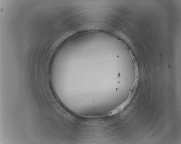 X0000077400673200611101821