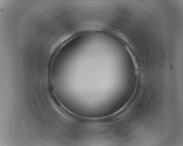 X0000077400677200611101821