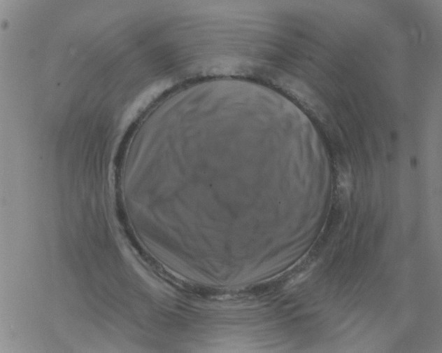 X0000077400678200611101821