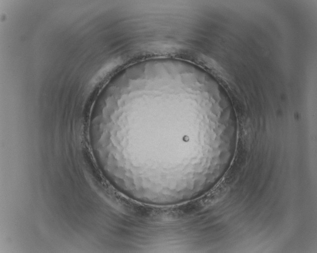 X0000077400679200611101821