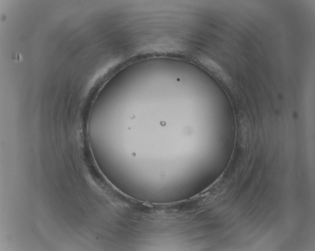 X0000077400680200611101821