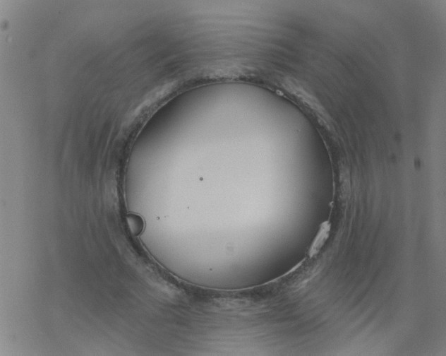 X0000077400681200611101821