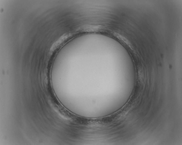 X0000077400682200611101821