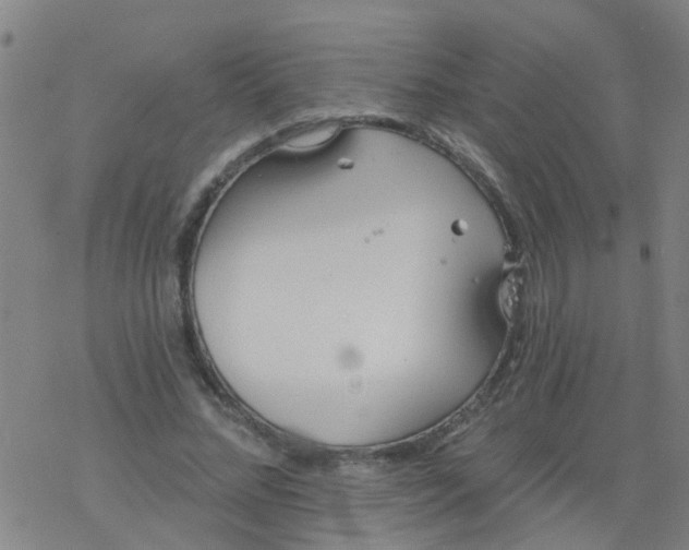 X0000077400684200611101820