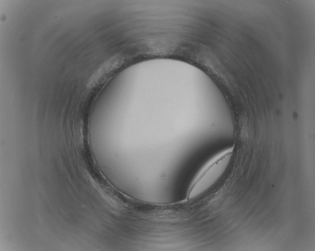 X0000077400685200611101820