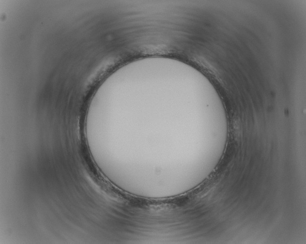 X0000077400686200611101820