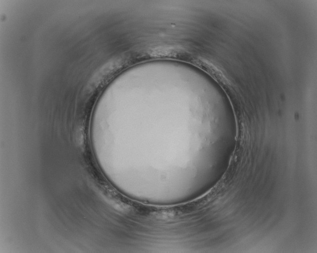 X0000077400687200611101820