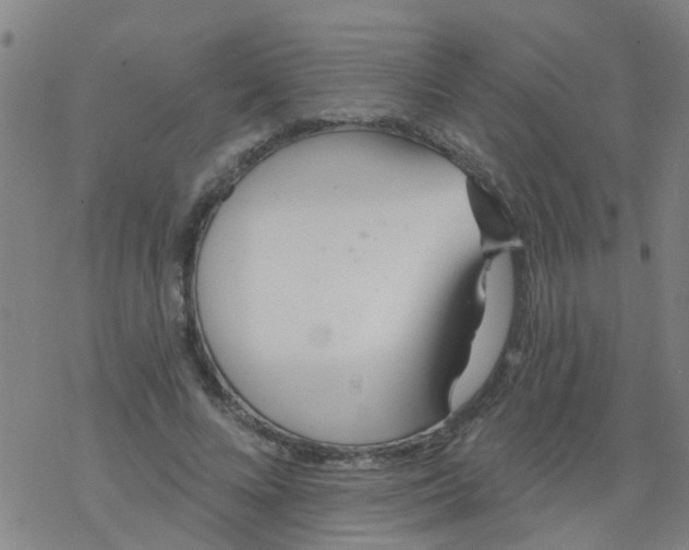 X0000077400688200611101820