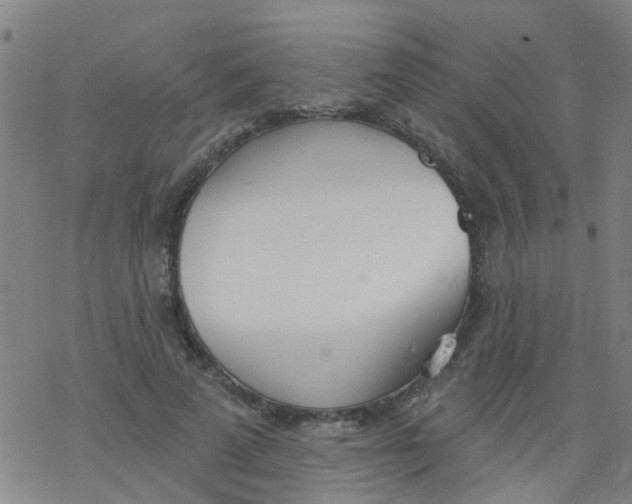 X0000077400689200611101820