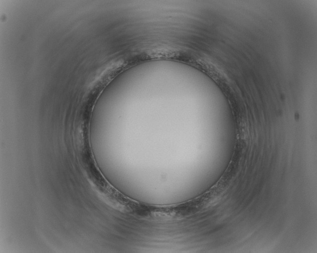 X0000077400690200611101820