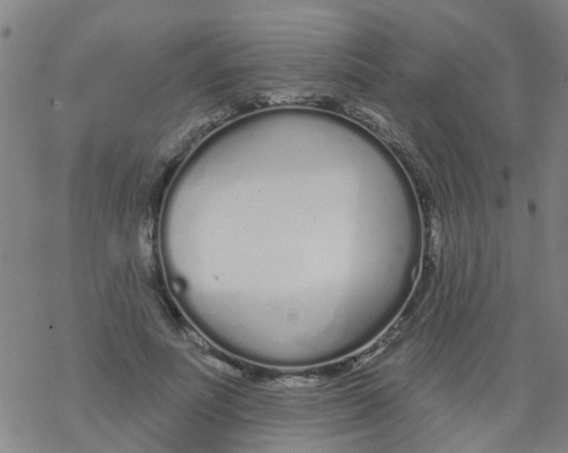 X0000077400691200611101820