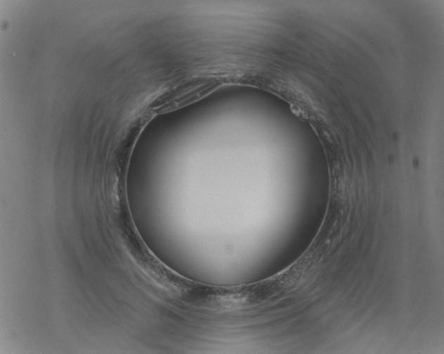 X0000077400692200611101820