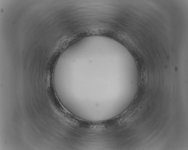 X0000077400694200611101820