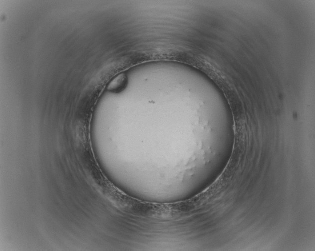 X0000077400695200611101820