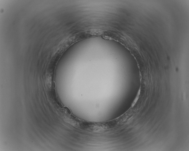 X0000077400697200611101820