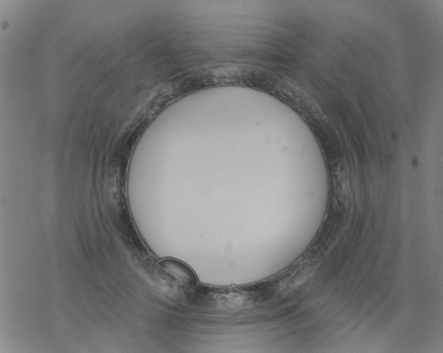 X0000077400698200611101820