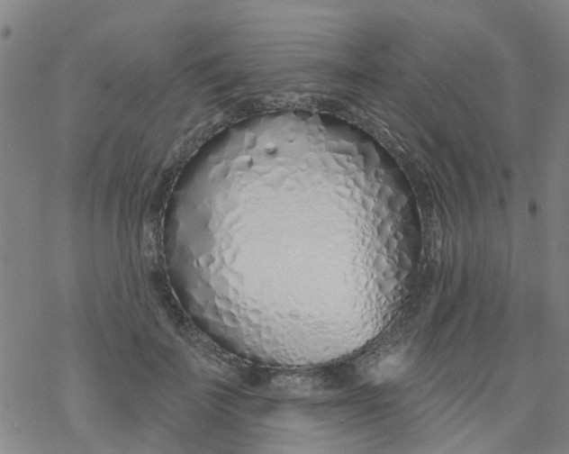 X0000077400699200611101820