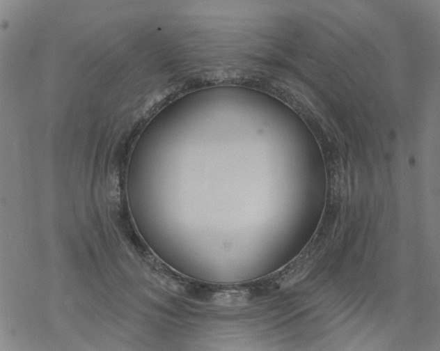 X0000077400700200611101820