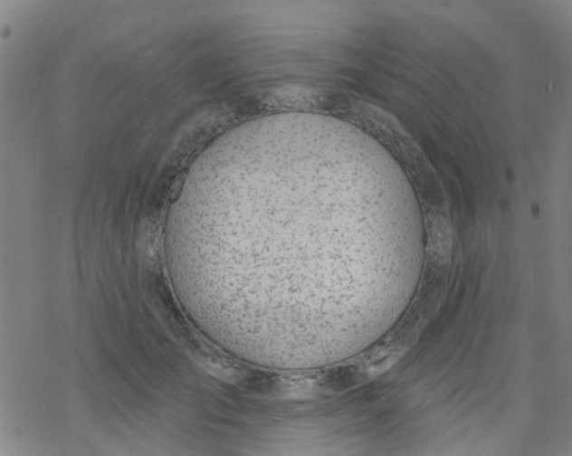 X0000077400701200611101820